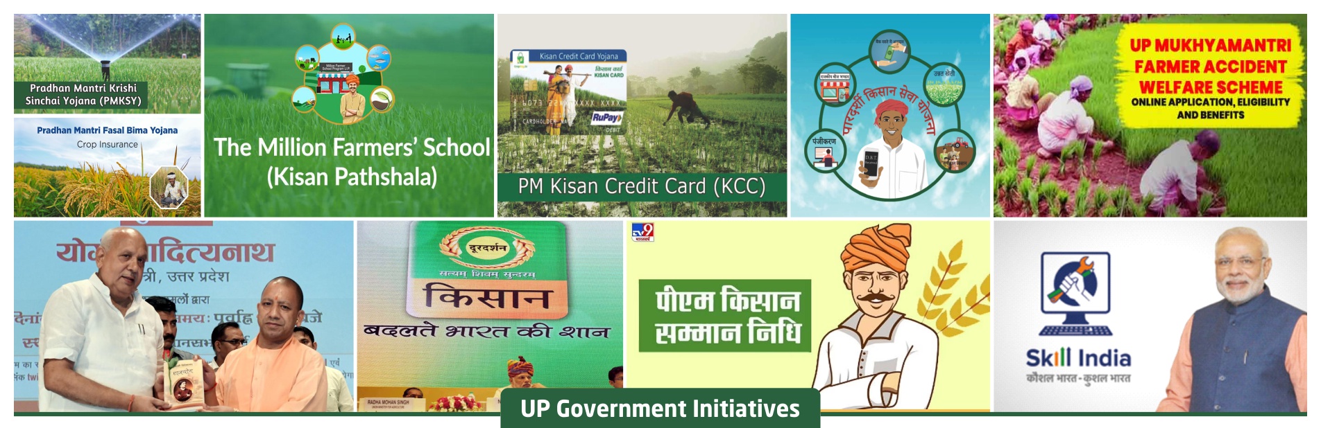 Agriculture,food and agriculture,agrovision,farming,organic farming